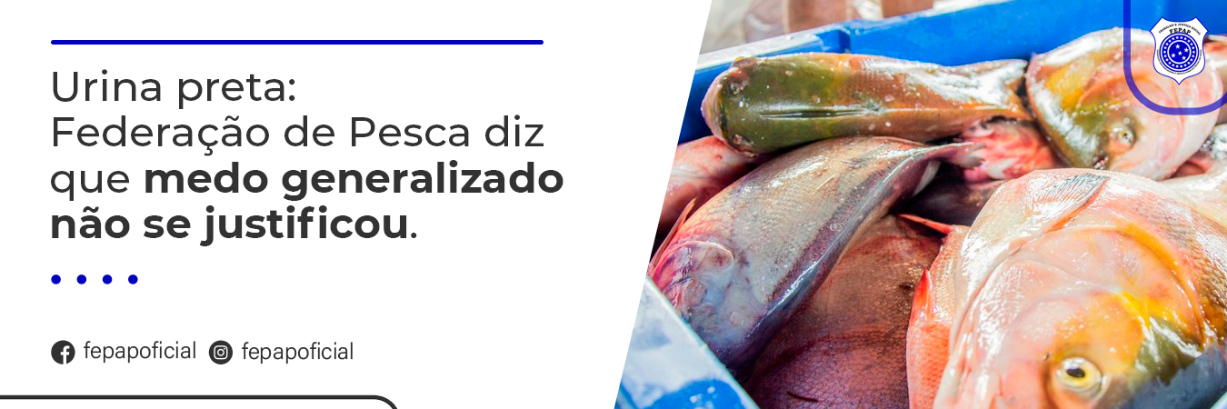 image_da_notícia