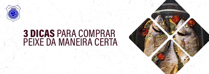 image_da_notícia