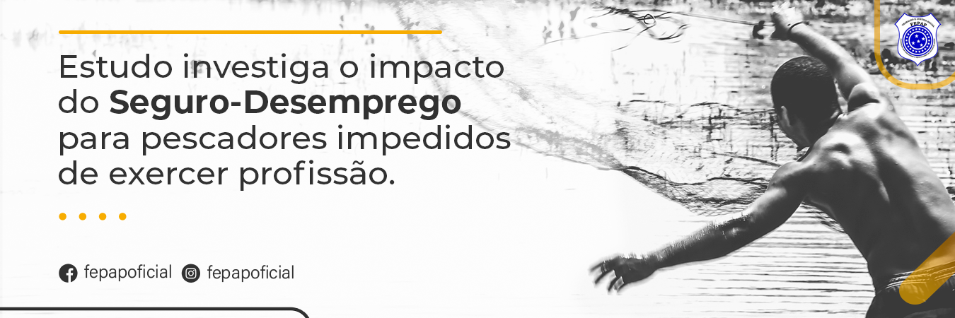 image_da_notícia